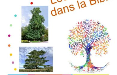 Culte Autrement - Dim 28 sept 2025